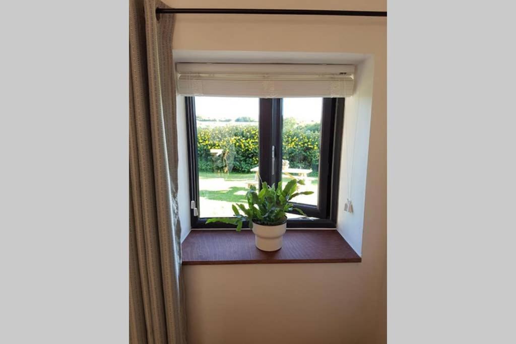 Milking Shed Cottage Narberth Εξωτερικό φωτογραφία